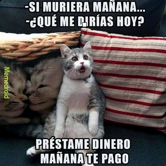 -SI MURIERA MAÑANA...
-¿QUÉ ME DIRÍAS HOY?
PRÉSTAME DINERO
MAÑANA TE PAGO