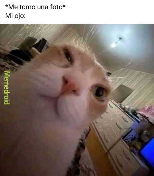 *Me tomo una foto*
Mi ojo: