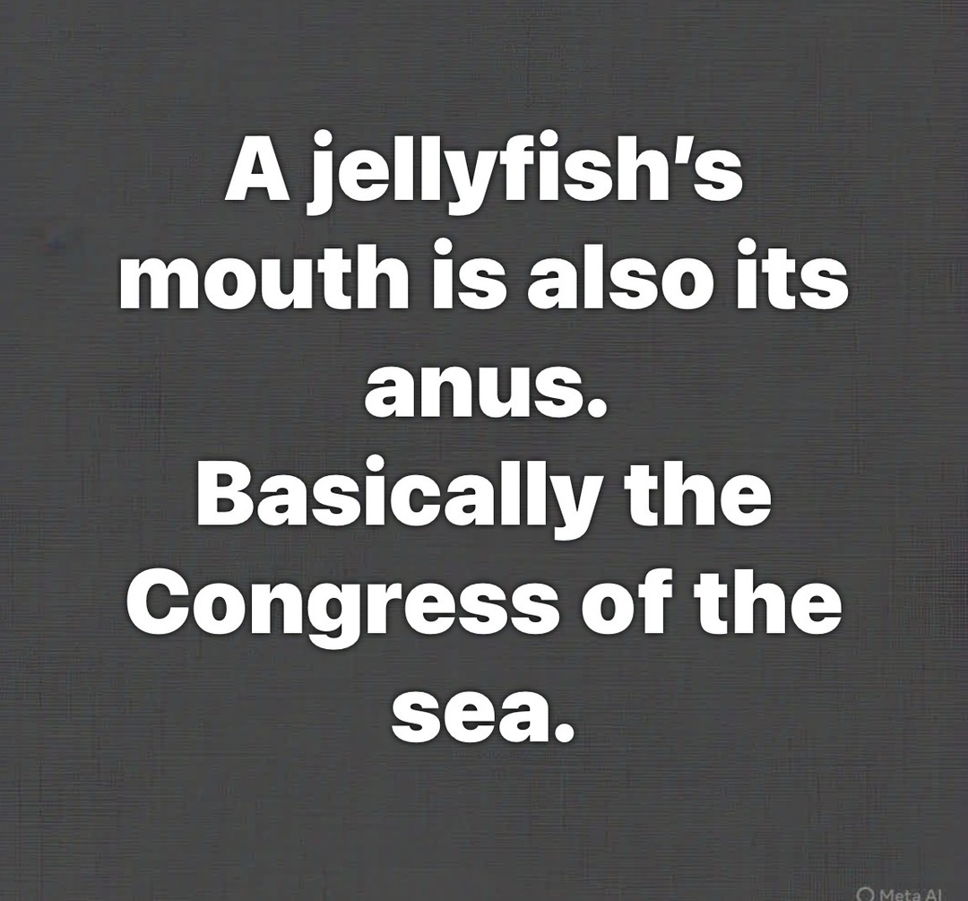 A jellyfish's mouth is also its anus. Basically the Congress of the sea.