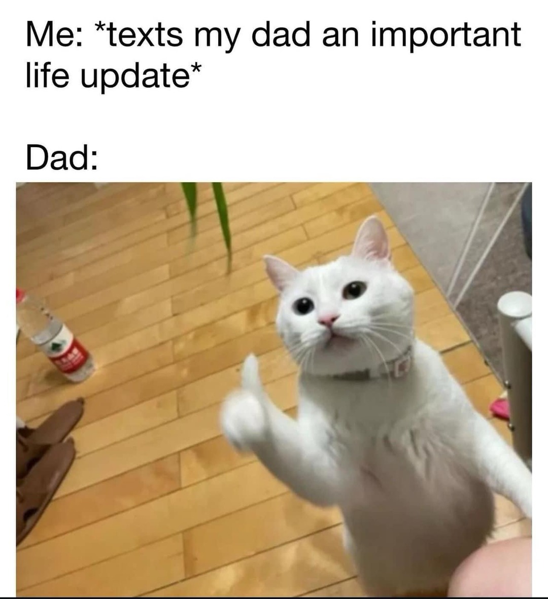 Me: *texts my dad an important life update*
Dad: