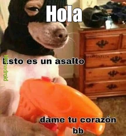 Hola
esto es un asalto
dame tu corazón
bb