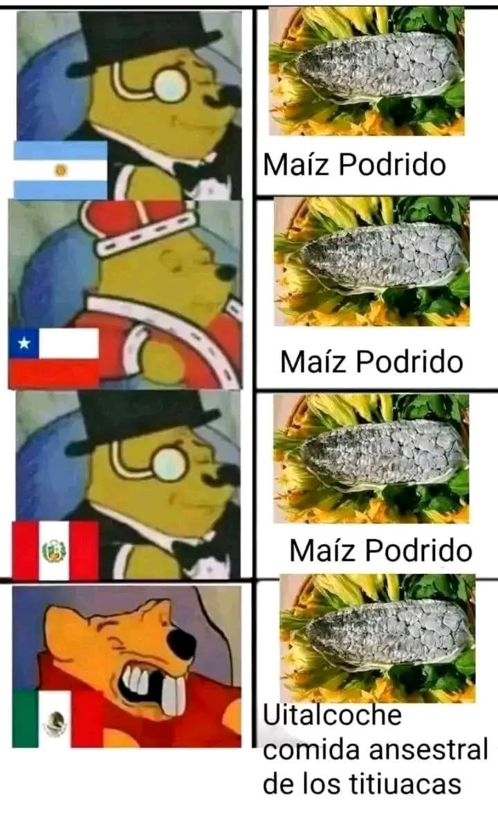 Maíz Podrido
Maíz Podrido
Maíz Podrido
Uitalcoche comida ancestral de los titiuacas