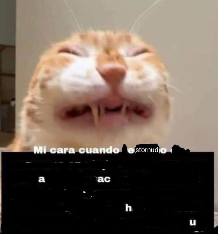 Mi cara cuando estornudo