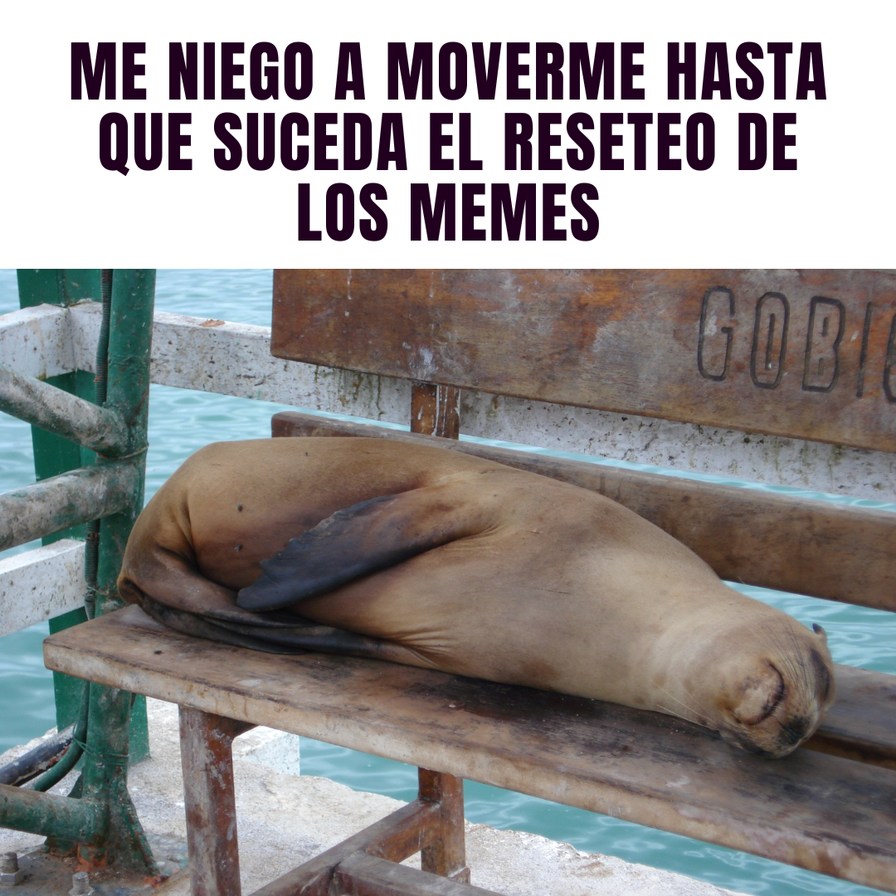 ME NIEGO A MOVERME HASTA QUE SUCEDA EL RESETEO DE LOS MEMES
