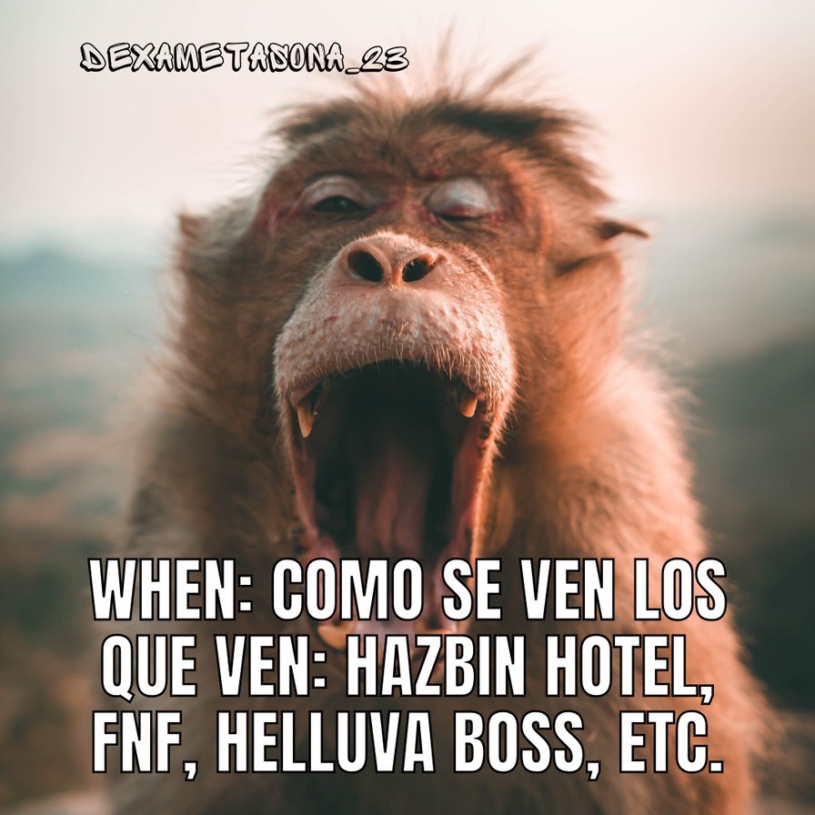 DEXAMETADONA_23
WHEN: COMO SE VEN LOS QUE VEN: HAZBIN HOTEL, FNF, HELLUVA BOSS, ETC.