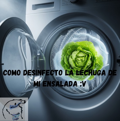 COMO DESINFECTO LA LECHUGA DE MI ENSALADA :V