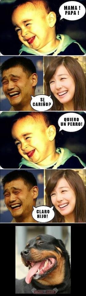 MAMA ! PAPA ! SI CARIÑO? QUIERO UN PERRO! CLARO HIJO!