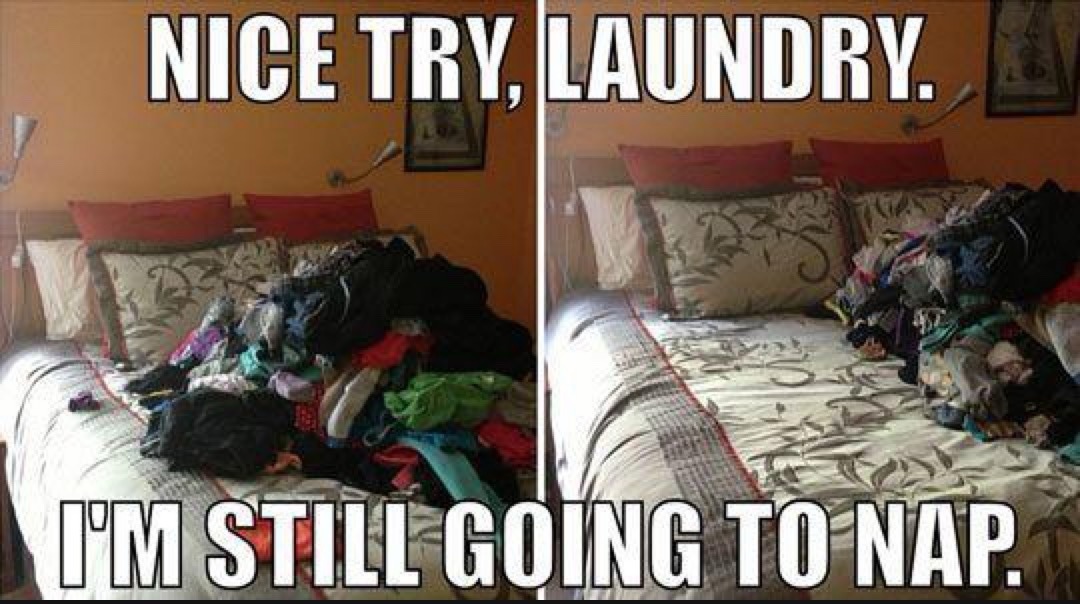 NICE TRY, LAUNDRY. I'M STILL GOING TO NAP.
