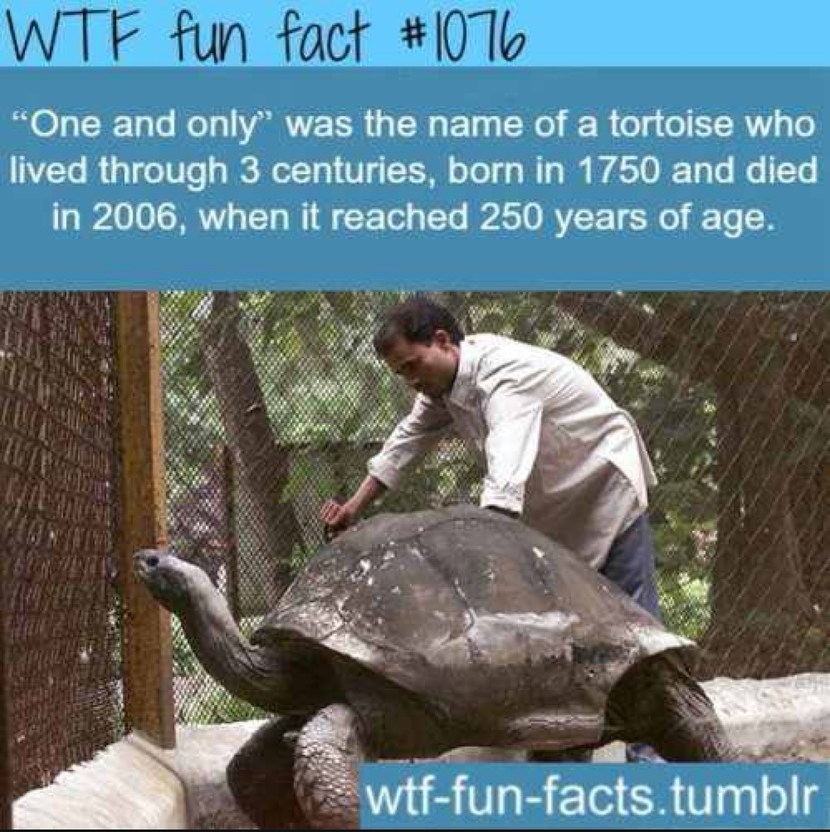 WTF fun fact #1076. 