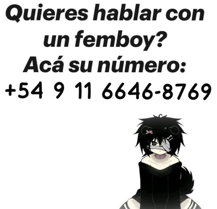 Quieres hablar con un femboy? Acá su número: +54 9 11 6646-8769