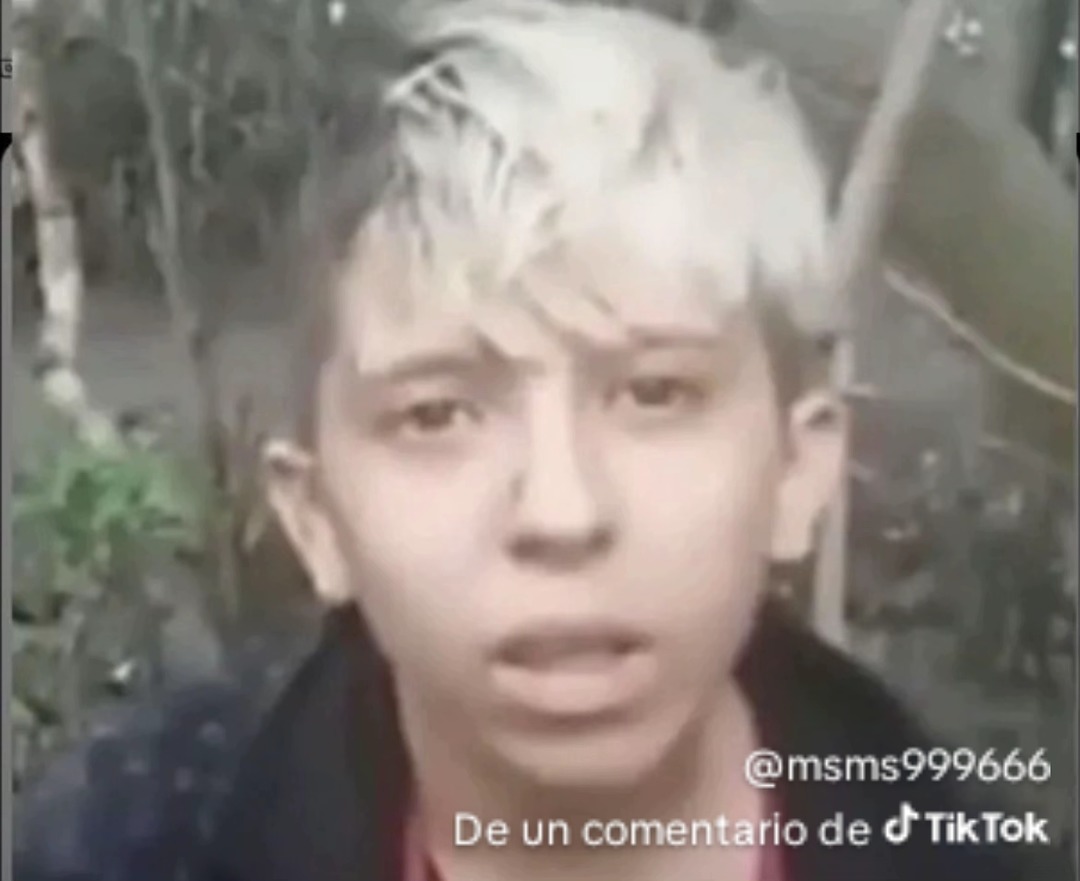De un comentario de TikTok