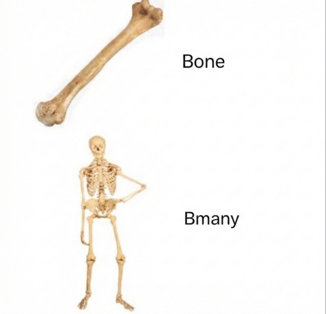 Bone
Bmany