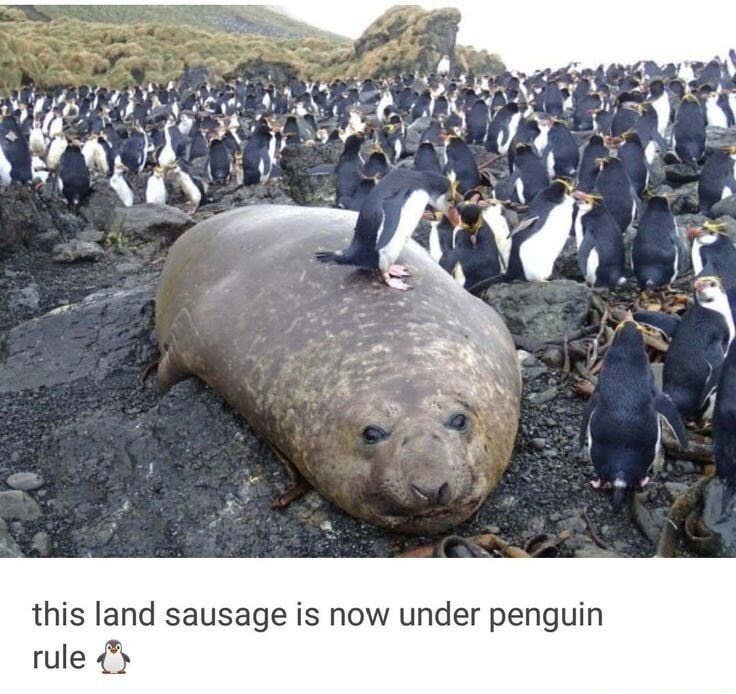 this land sausage is now under penguin rule 🐧
