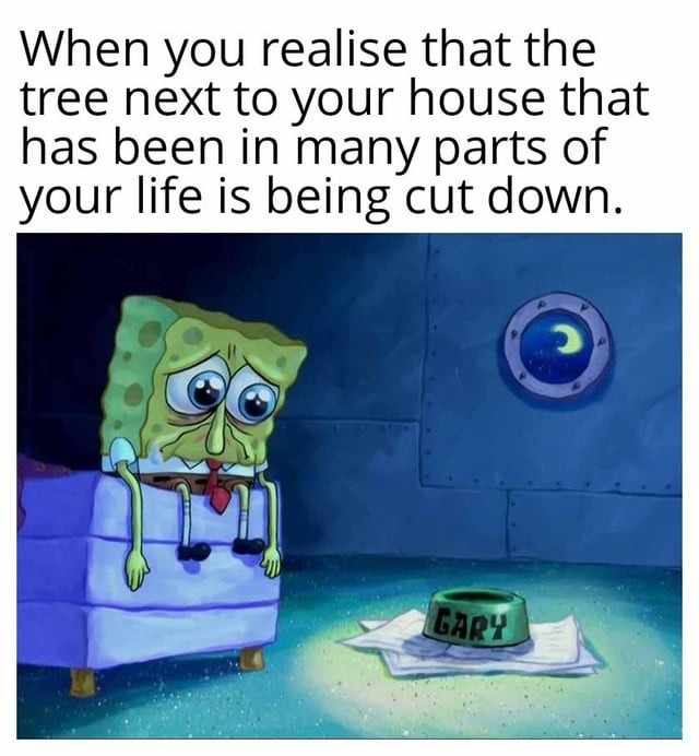 When you realise that the tree next to your house that has been in many parts of your life is being cut down.