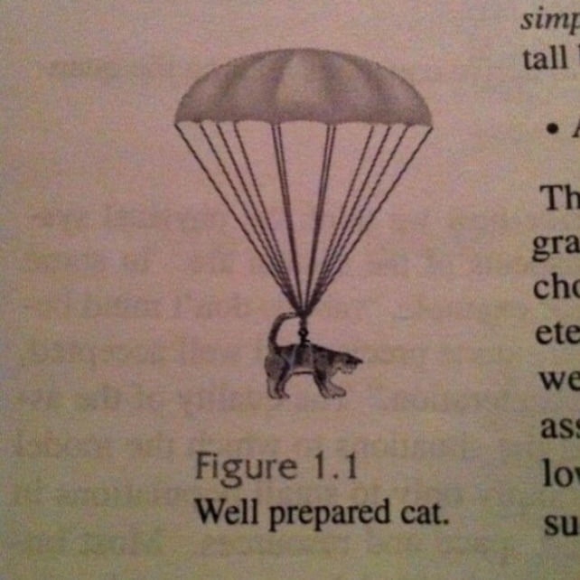 Figure 1.1 Well prepared cat.