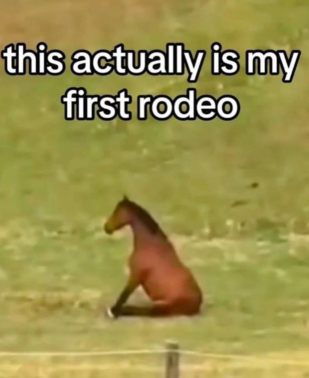 this actually is my first rodeo