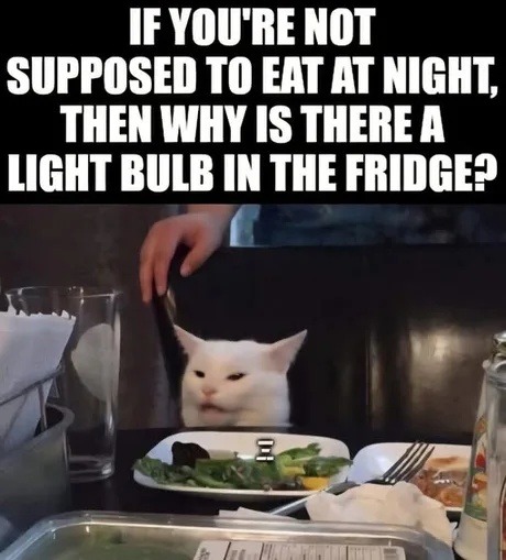 IF YOU'RE NOT SUPPOSED TO EAT AT NIGHT, THEN WHY IS THERE A LIGHT BULB IN THE FRIDGE?