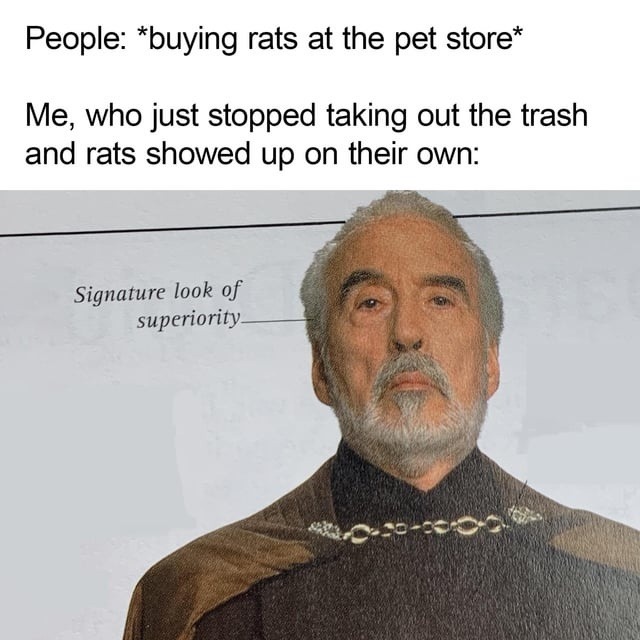 People: *buying rats at the pet store*
Me, who just stopped taking out the trash and rats showed up on their own:
Signature look of superiority