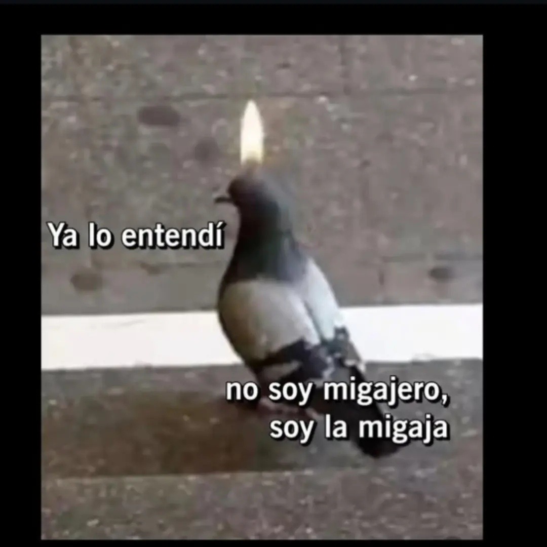 Ya lo entendí
no soy migajero,
soy la migaja