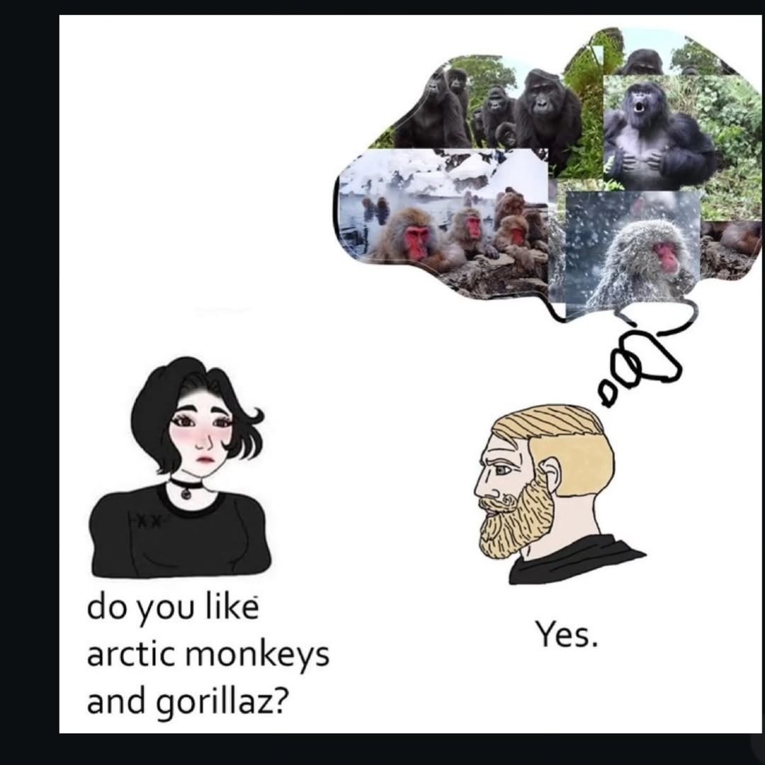 do you like arctic monkeys and gorillaz?
Yes.