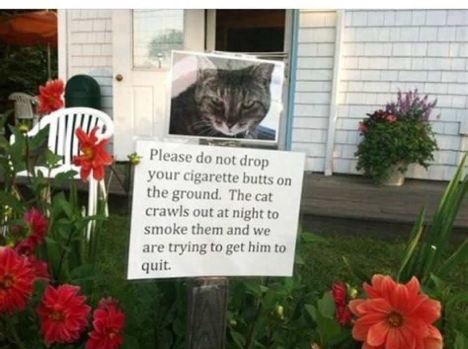 Please do not drop your cigarette butts on the ground. The cat crawls out at night to smoke them and we are trying to get him to quit.