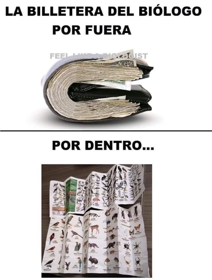LA BILLETTERA DEL BIÓLOGO POR FUERA
POR DENTRO...