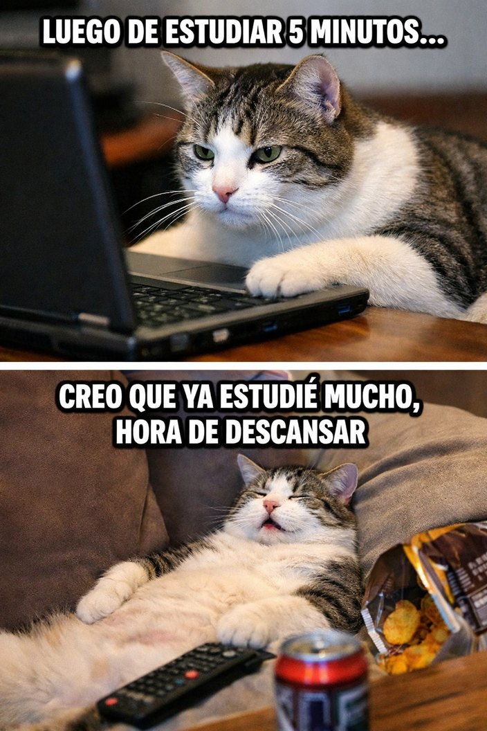 LUEGO DE ESTUDIAR 5 MINUTOS...
CREO QUE YA ESTUDIÉ MUCHO, HORA DE DESCANSAR