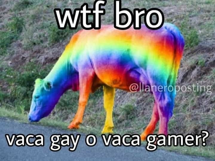 wtf bro
vaca gay o vaca gamer?