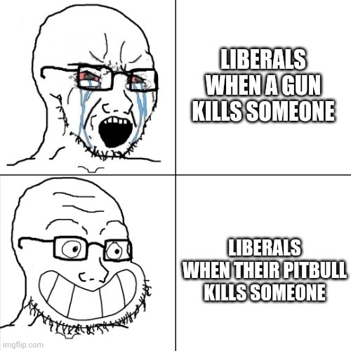 LIBERALS WHEN A GUN KILLS SOMEONE
LIBERALS WHEN THEIR PITBULL KILLS SOMEONE