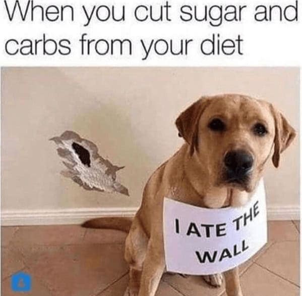 When you cut sugar and carbs from your diet I ATE THE WALL