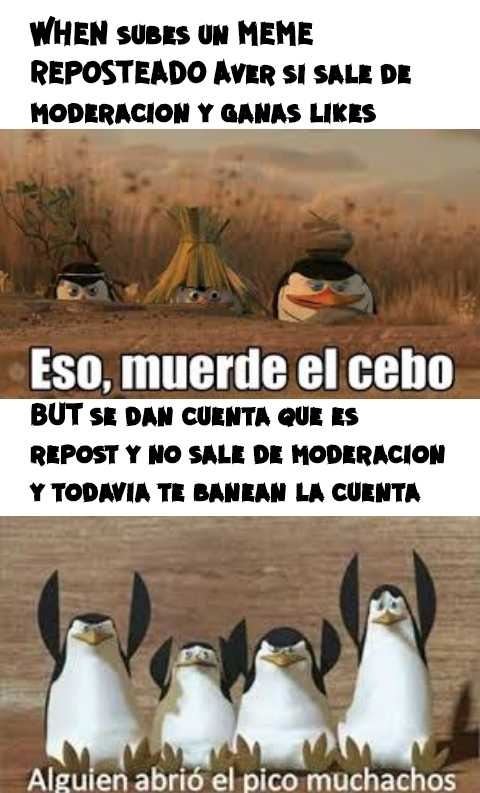 WHEN SUBES UN MEME REPOSTEADO AVER SI SALE DE MODERACION Y GANAS LIKES
Eso, muerde el cebo
BUT SE DAN CUENTA QUE ES REPOST Y NO SALE DE MODERACION Y TODAVIA TE BANEN LA CUENTA
Alguien abrió el pico muchachos