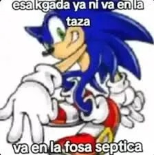 esa kgada ya ni va en la taza va en la fosa septica