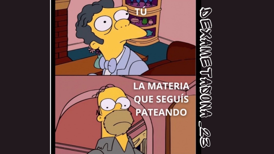 TÚ
LA MATERIA QUE SEGUÍS PATEANDO