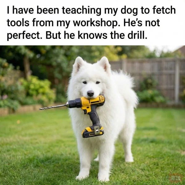 I have been teaching my dog to fetch tools from my workshop. He's not perfect. But he knows the drill.