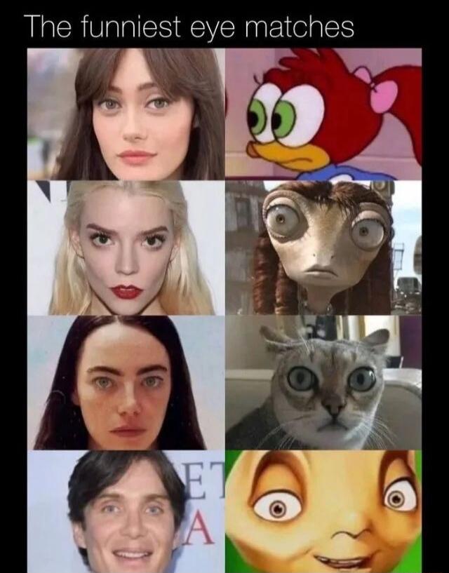 The funniest eye matches