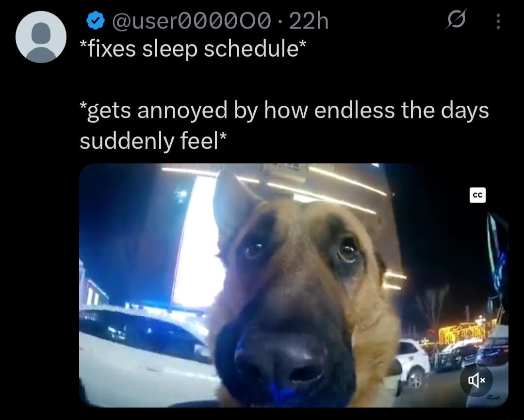 *fixes sleep schedule* *gets annoyed by how endless the days suddenly feel*