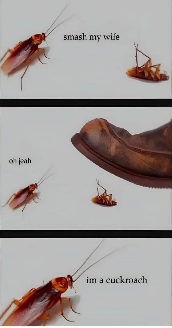 smash my wife
oh jeah
im a cuckroach