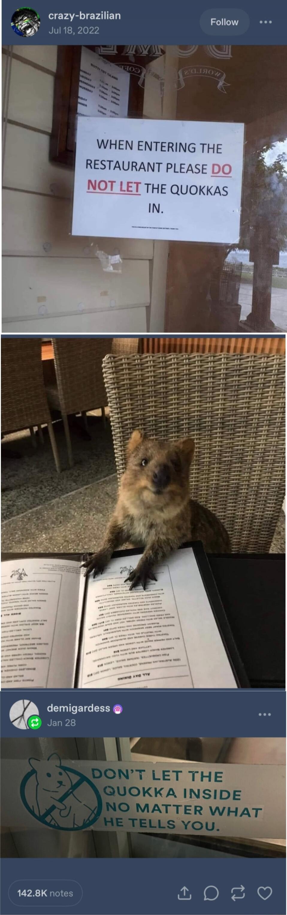 WHEN ENTERING THE RESTAURANT PLEASE DO NOT LET THE QUOKKAS IN.
DON'T LET THE QUOKKA INSIDE NO MATTER WHAT HE TELLS YOU.