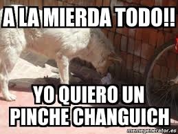 A LA MIERDA TODO!! YO QUIERO UN PINCHE CHANGUICH