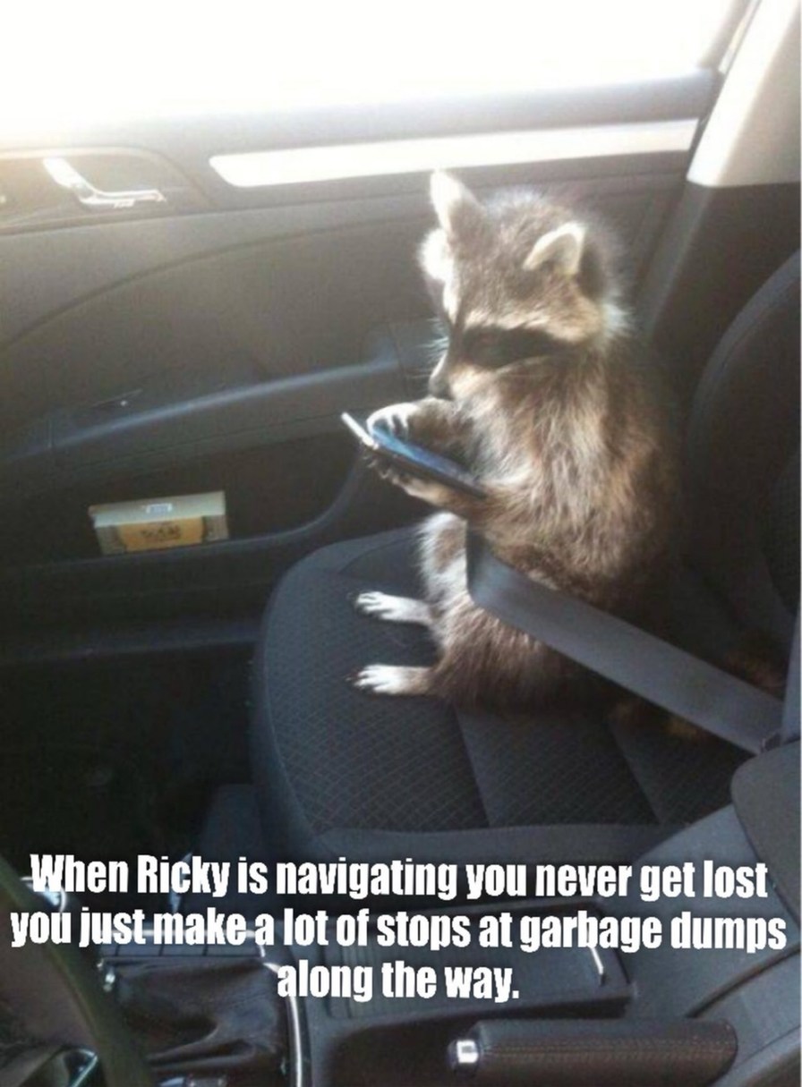 When Ricky is navigating you never get lost you just make a lot of stops at garbage dumps along the way.