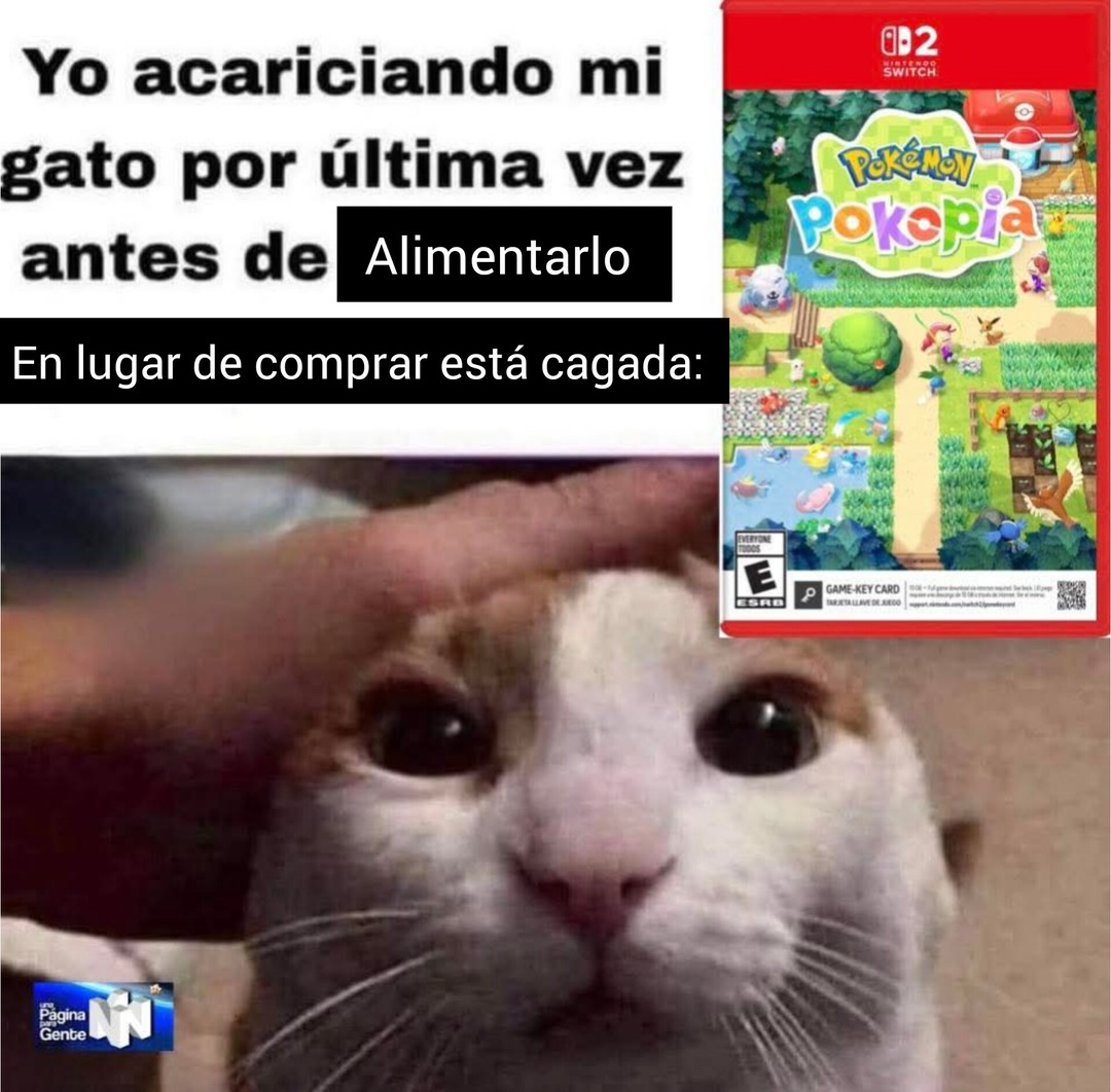 Yo acariciando mi gato por última vez antes de Alimentarlo
En lugar de comprar está cagada: