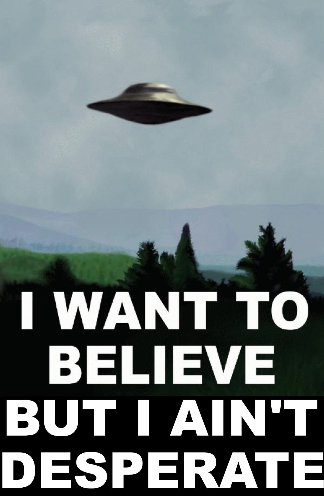 I WANT TO BELIEVE BUT I AIN'T DESPERATE