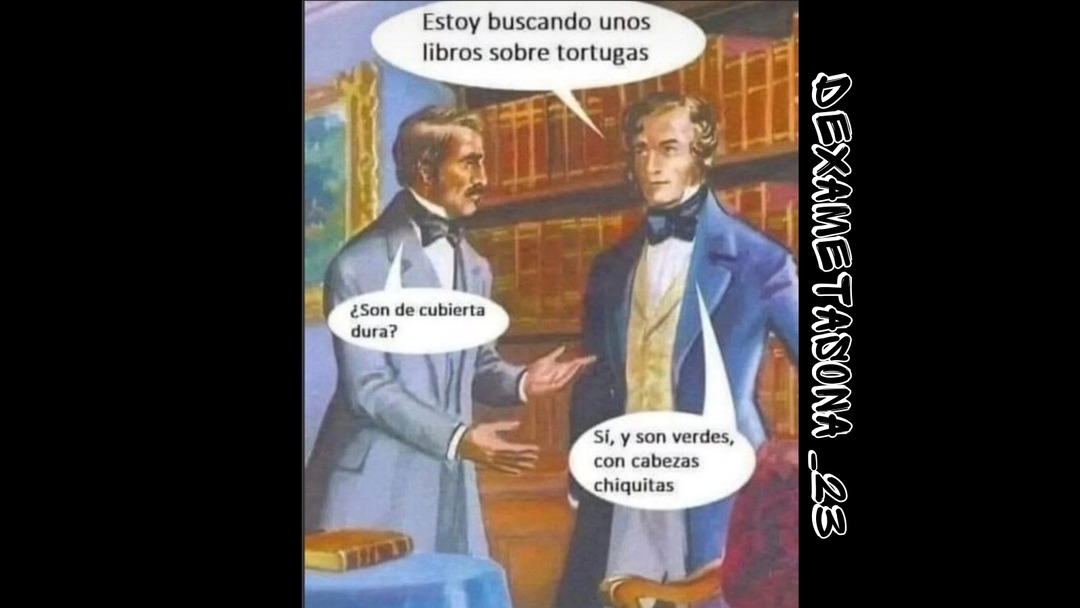 Estoy buscando unos libros sobre tortugas. ¿Son de cubierta dura? Sí, y son verdes, con cabezas chiquitas.