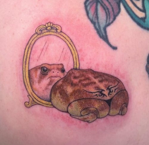 A frog looking in a mirror and seeing itself.