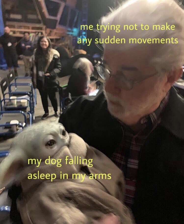 me trying not to make any sudden movements
my dog falling asleep in my arms