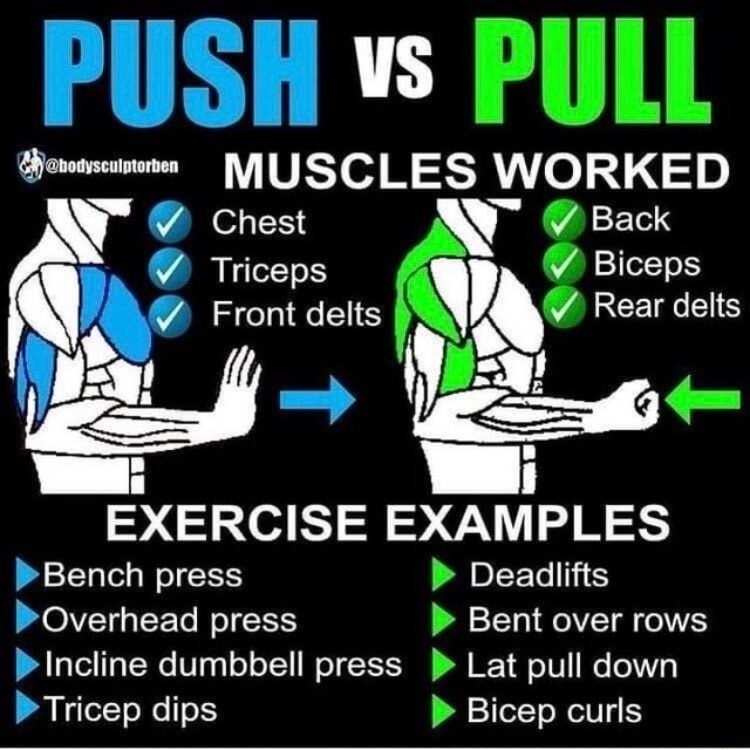 PUSH vs PULL MUSCLES WORKED Chest Triceps Front delts Bench press Overhead press Incline dumbbell press Tricep dips Back Biceps Rear delts Deadlifts Bent over rows Lat pull down Bicep curls