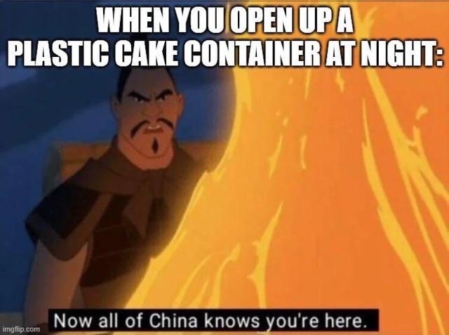 WHEN YOU OPEN UP A PLASTIC CAKE CONTAINER AT NIGHT:
Now all of China knows you're here.