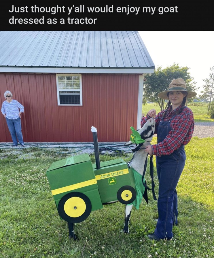 Just thought y'all would enjoy my goat dressed as a tractor