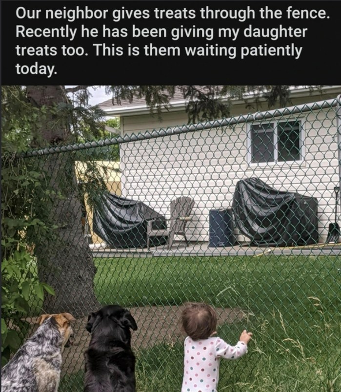 Our neighbor gives treats through the fence. Recently he has been giving my daughter treats too. This is them waiting patiently today.