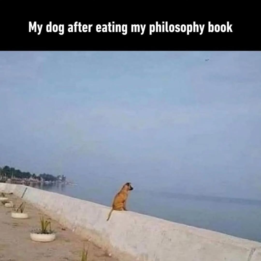 My dog after eating my philosophy book